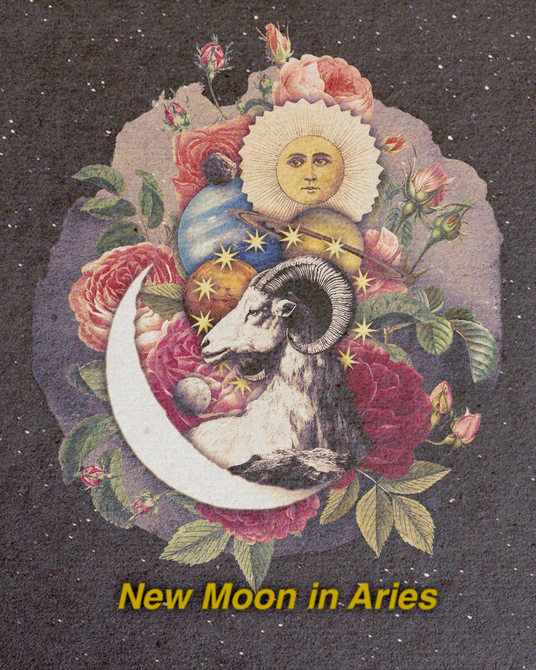 aries new moon stellium